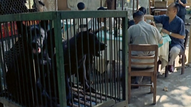 A Dog's Life (1962)