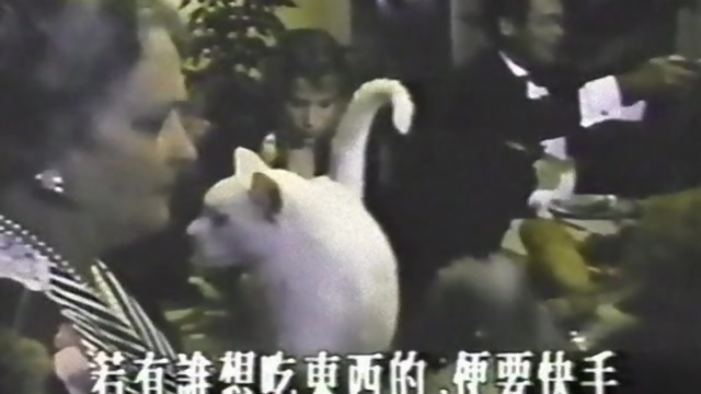 America Exposed (1991) (Chinese Version)